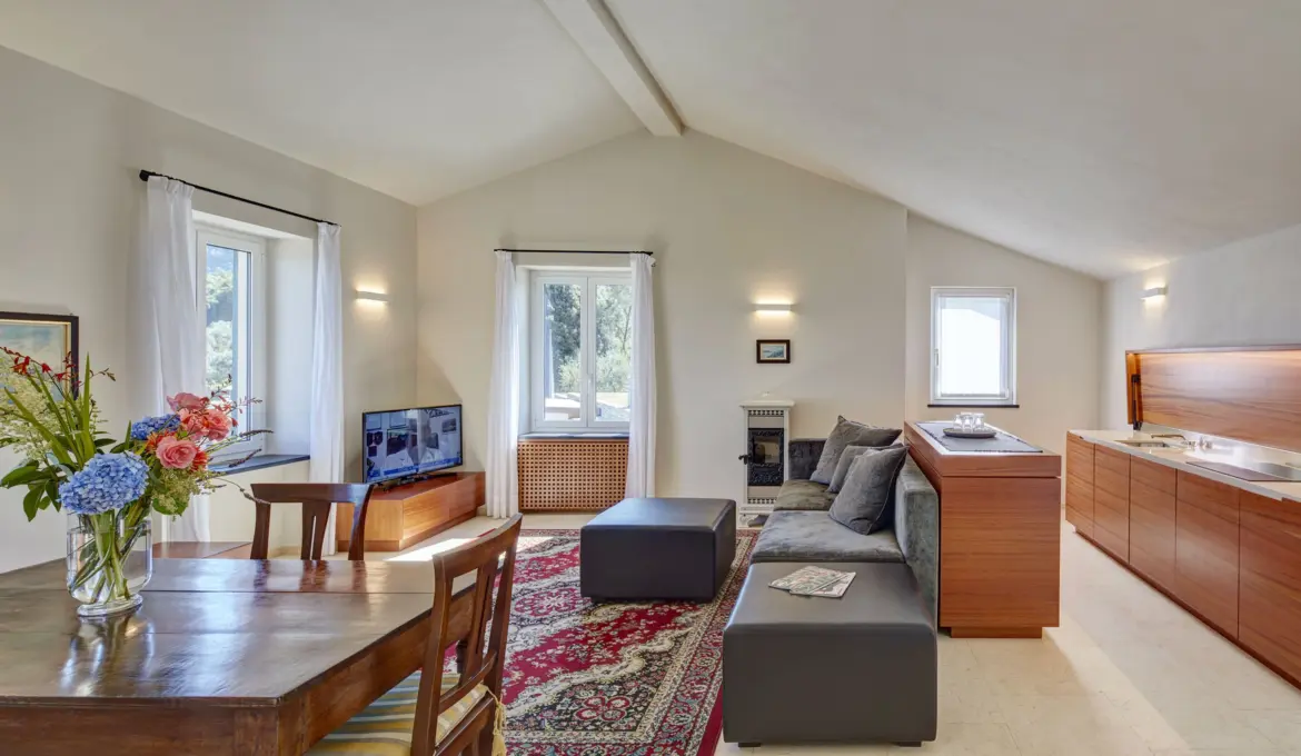 Suite Executive