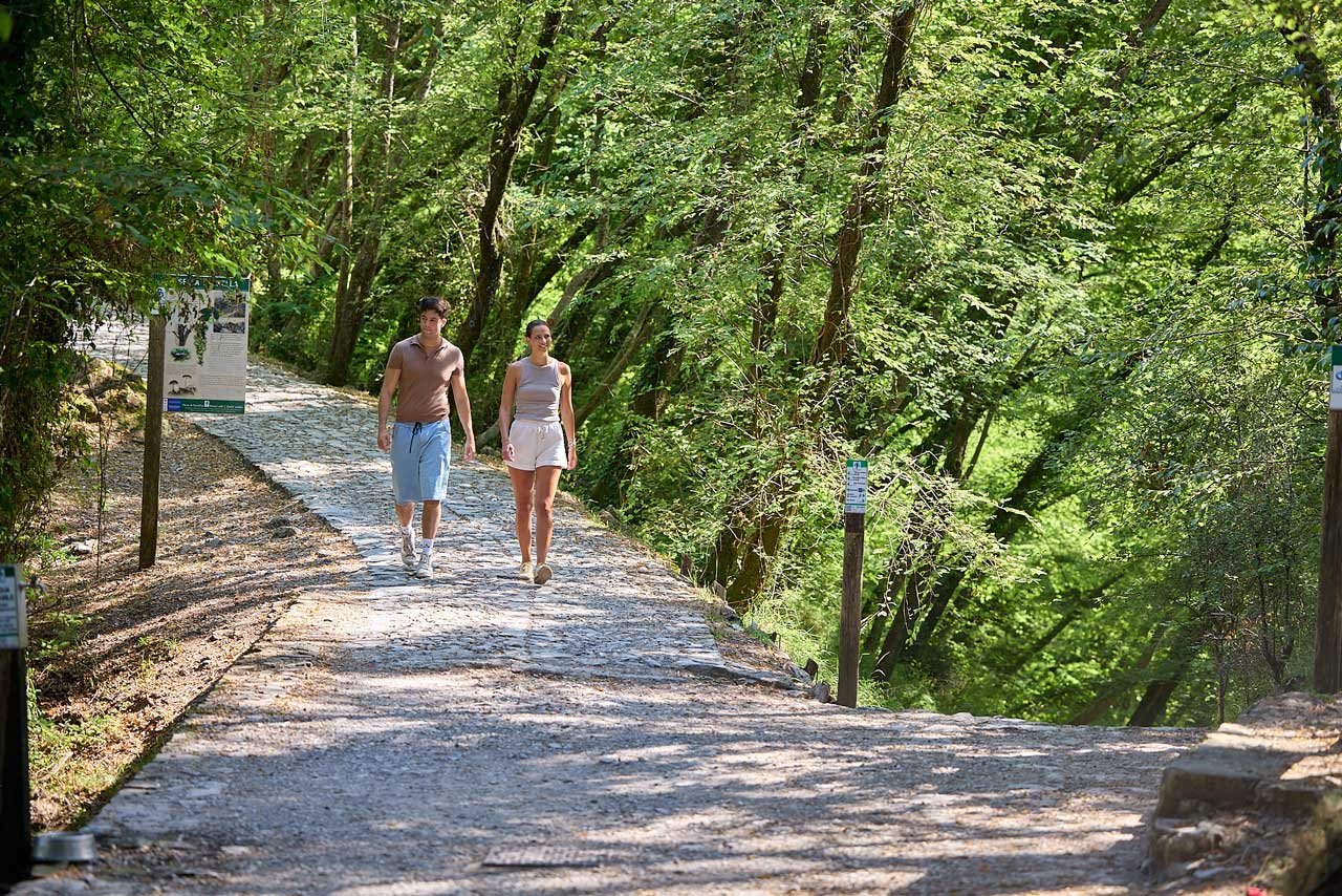 Monte di Portofino