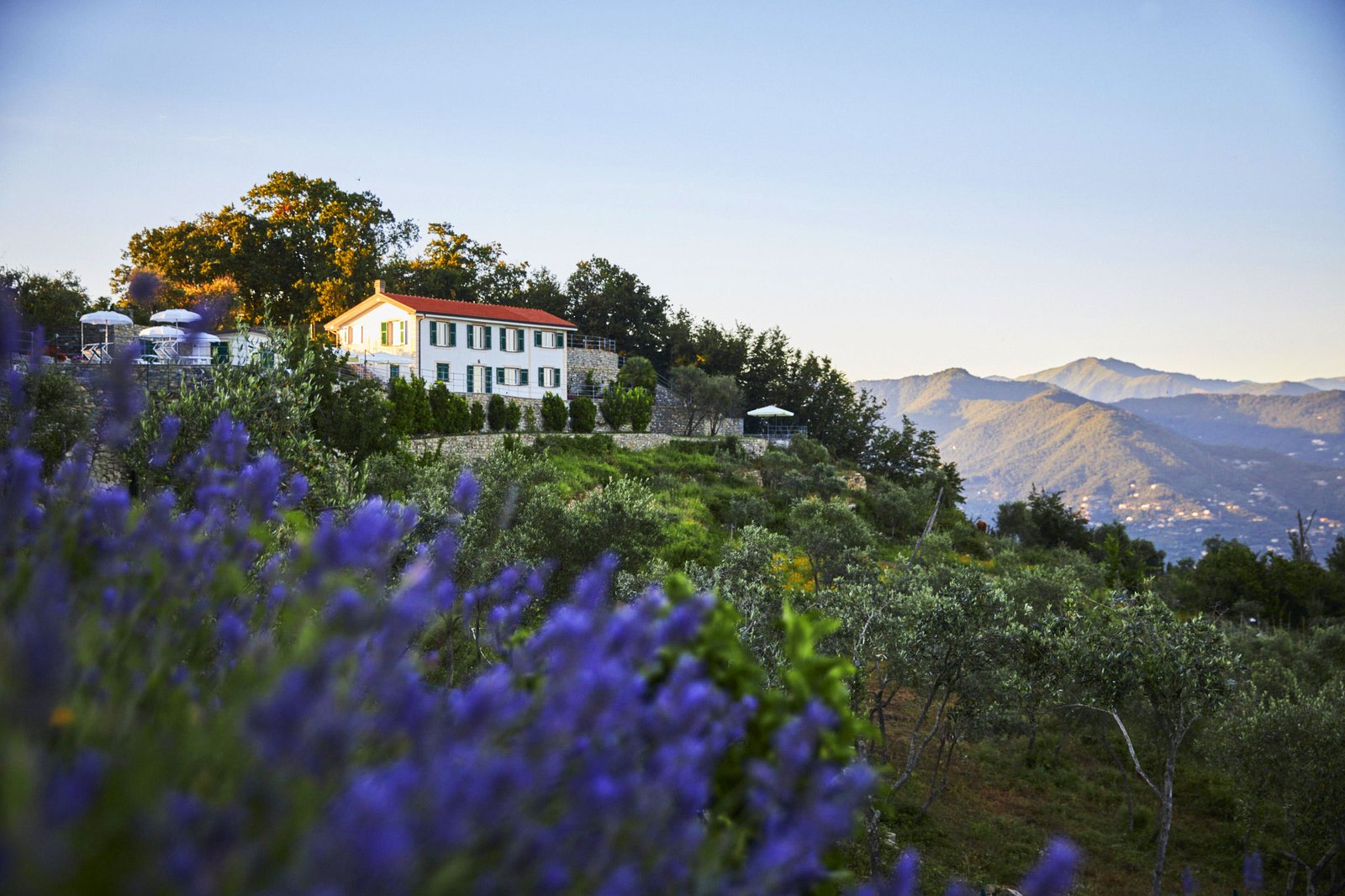 Villa Belvedere